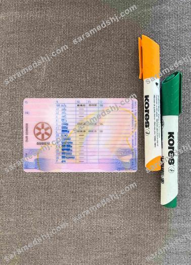 Austria driving license 2013 - present photolook BACK
